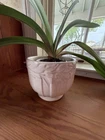 New ListingVintage Nelson McCoy White Jardiniere Sand Butterfly Planter
