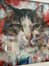 PASTEL Commisioned Portait of Clown Cat (Oliver) By Artist Susan Roden