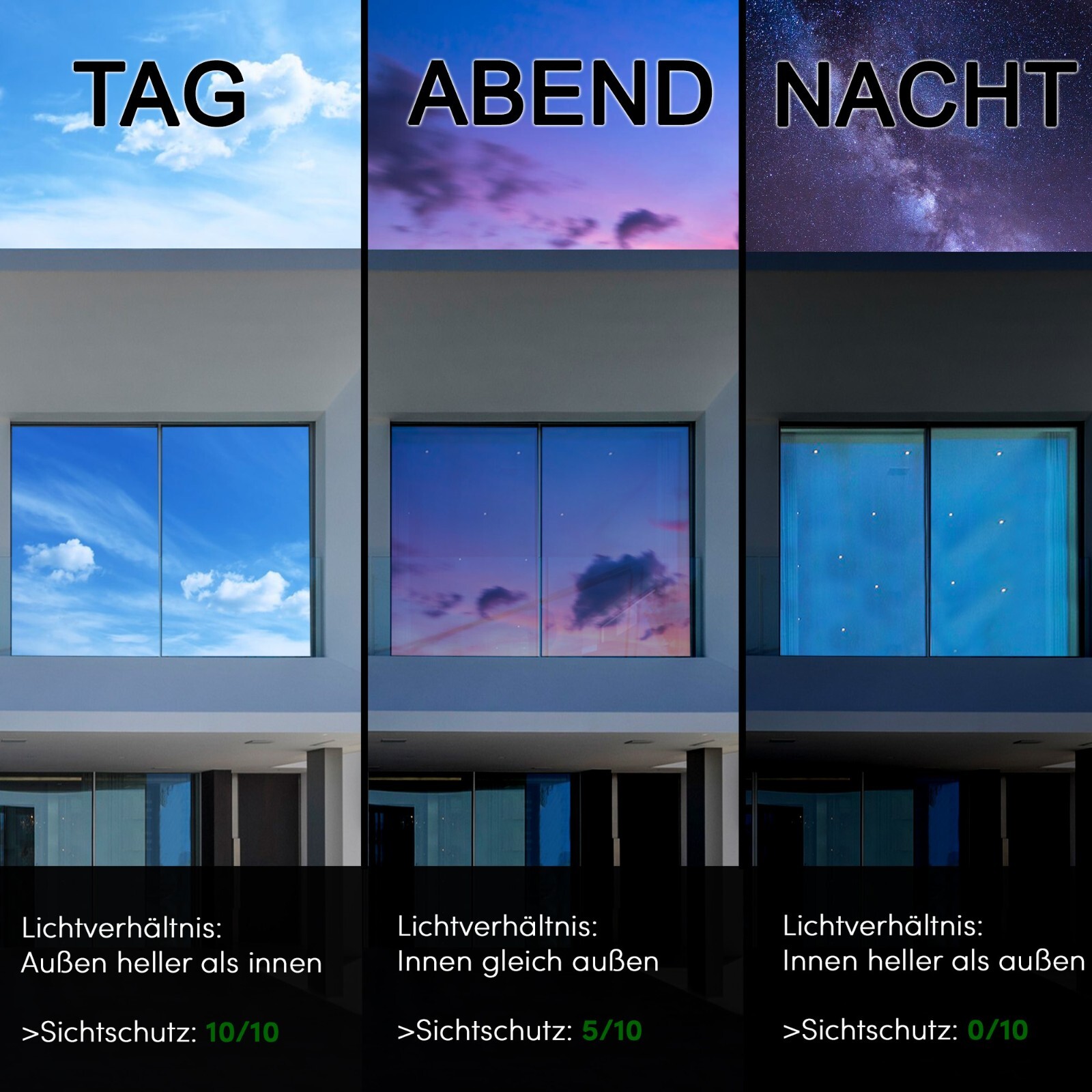 Bild 9 von 12