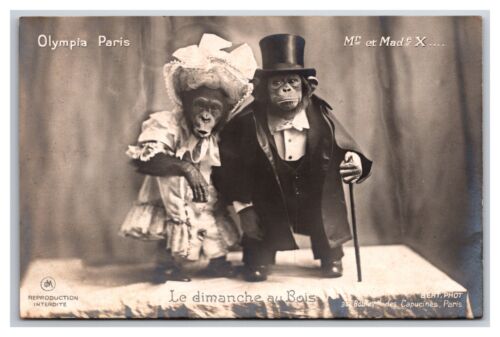 RPPC Me and Mad X Monkeys in Tuxedo and Dress UNP Postcard Y16 - Afbeelding 1 van 2