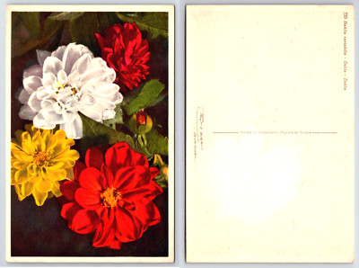 Dahlia Variabilis, Thor Gyder Postcard