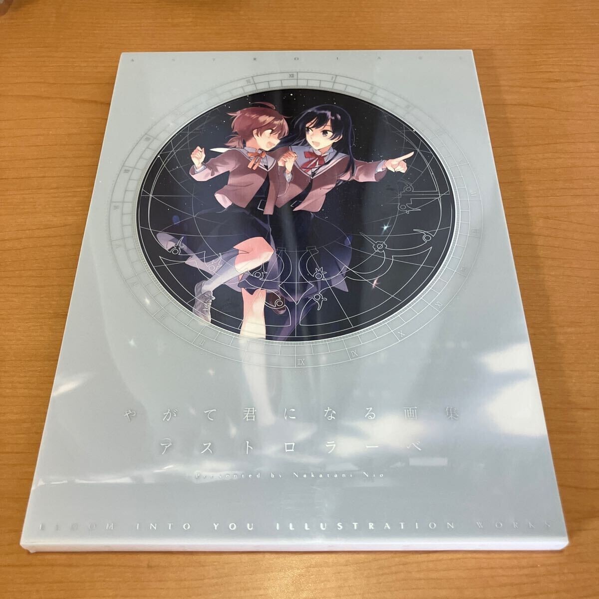 Bloom Into You Yagate Kimi ni Naru Art Book Astrolabe JP | eBay Bloom Into You Yagate Kimi ni Naru Art Book Astrolabe JP | eBay