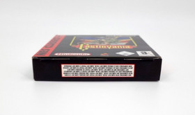 Castlevania Nintendo Gameboy Advance Classic NES Serie