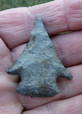1-3/4 in.  INDIAN ARROWHEAD HARDIN From Indiana Kentucky or Ohio