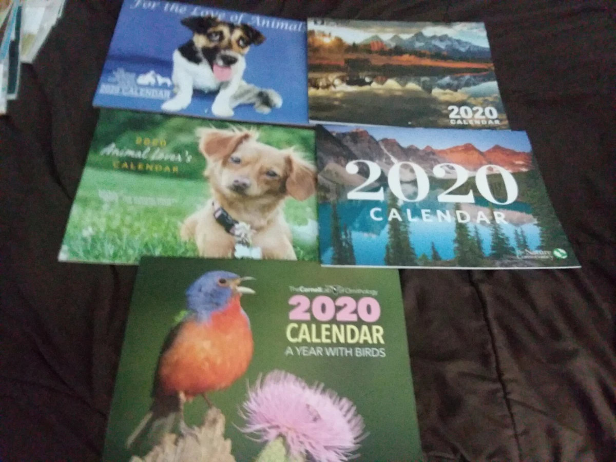 Assorted 2020 Calendars | eBay