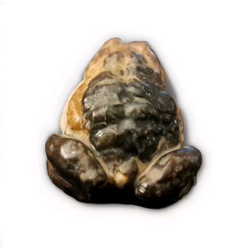 Vintage Bullfrog Steinzeug Keramik Figur selten Frosch Kröte 3"x3" - Bild 4 von 8