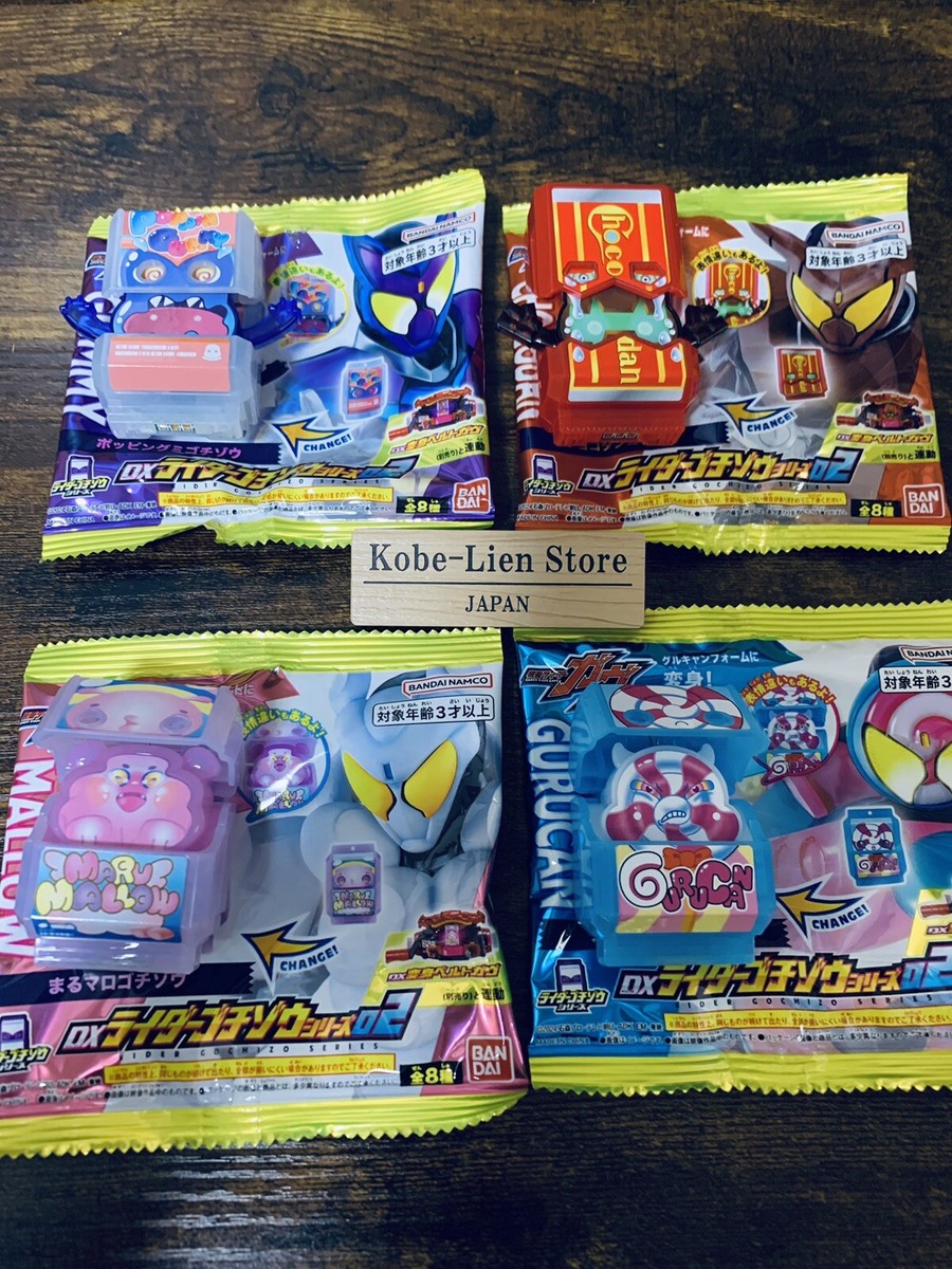Kamen Rider Gavv DX Rider Gochizo series 02 Rare ver