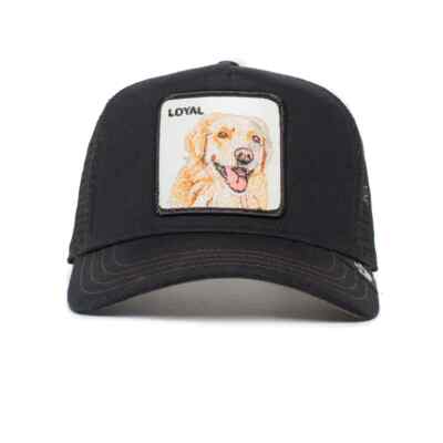 Casquette Camionneur Goorin Bros – Dorée – Taille Unique – Neuf Avec étiquettes