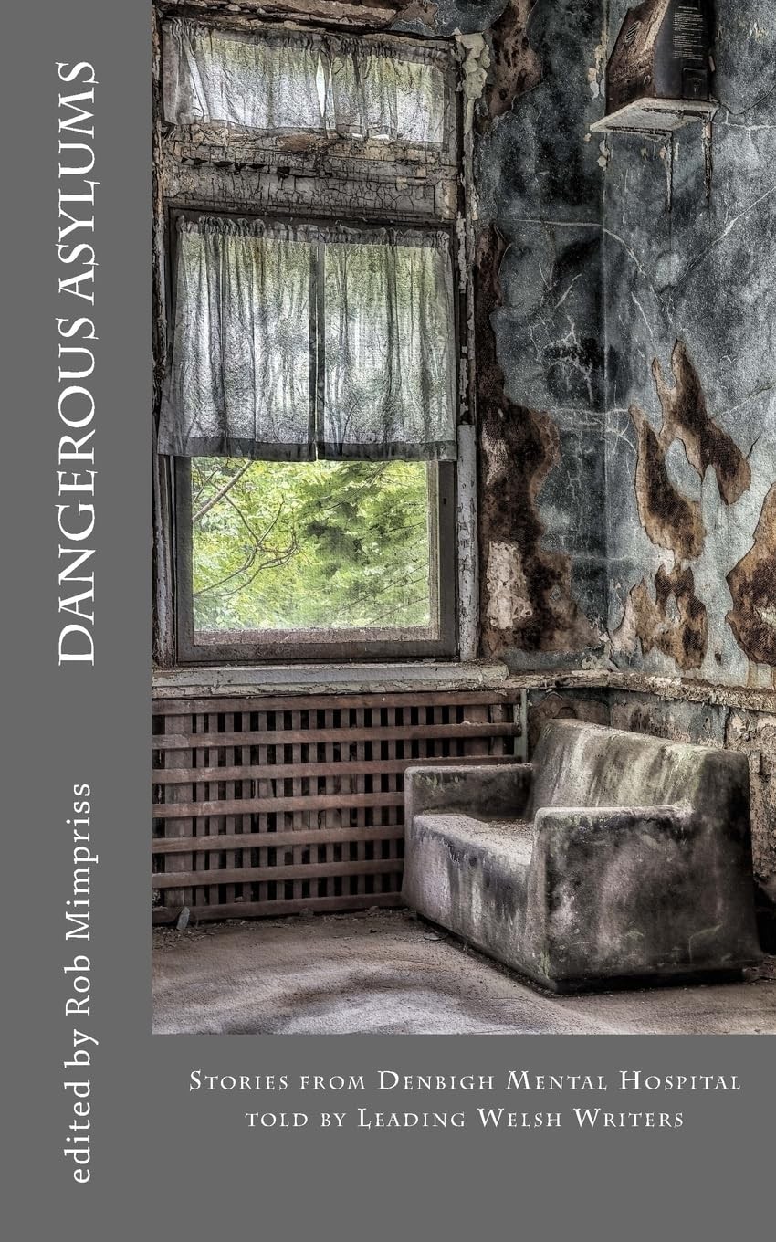 Dangerous Asylums: Stories from Denbigh Hospital told by Leading Welsh Writers - Image 2