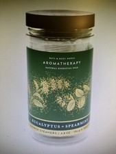 Bath  Body Works Aromatherapy Eucalyptus Spearmint Shower Steamers 4.8oz - NEW