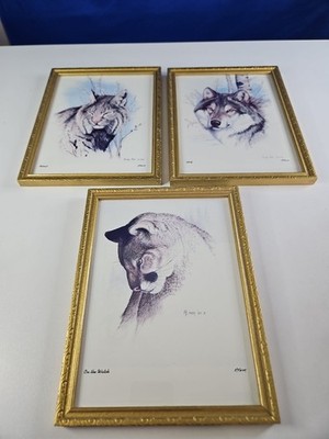 Vintage Randy Fehr Portraits Art LOT Prints Painting Drawing Bobcat Wolf Cougar