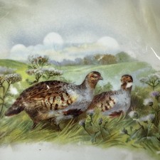 Leuchtenberg Germany Painted Game Bird Serving Bowl Partridges VTG