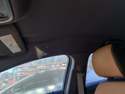 PASSENGER, ROOF OEM 2016 CHEVROLET VOLT