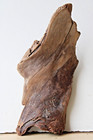 Treibholz Schwemmholz Driftwood 1 Skulptur Basteln Dekoration 30 cm