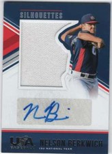 2018 Panini Stars and Stripes Silhouette Jersey AUTO Relic /179 Nelson Berkwich 
