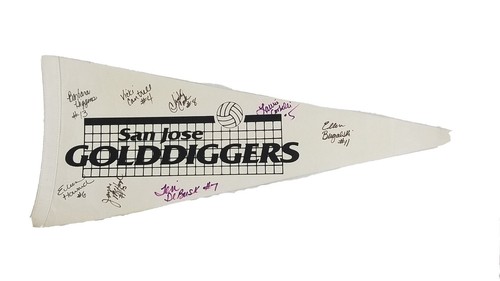 RARO PENNANT PALLAVOLO FEMMINILE AUTOGRAFATO San Jose Golddiggers 1989 Major League - Foto 1 di 11