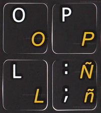 Spanish Latin American -English