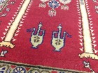 Foto 10 di 12