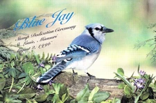 USPS FDC Ceremony Program #3048 Blue Jay AMERICOVER 1996