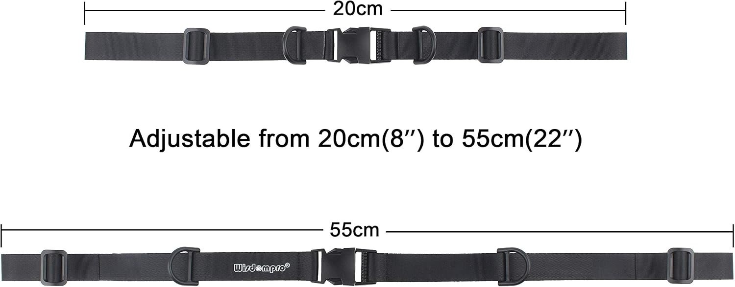 Slide 5