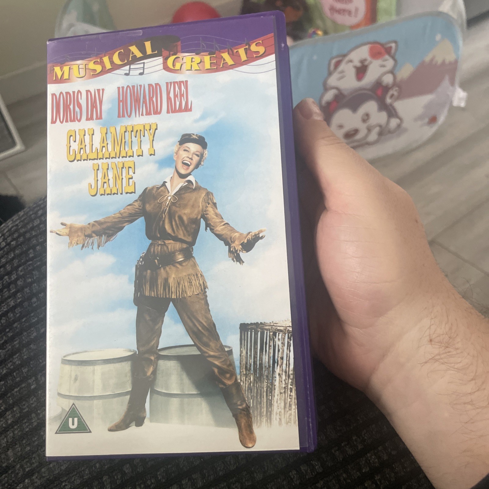 Calamity Jane (VHS, 2000) new and sealed