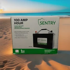 Basement Sentry Zoeller 100 Amp Hour Battery STB100B 12 Volt AGM Non-Spillable