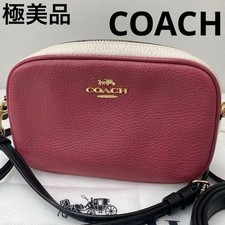 beautiful COACH leather shoulder bag waist pouch 2 way rouge multi From Japan