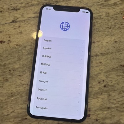iPhone X Unlocked