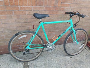 raleigh lizard mountain bike