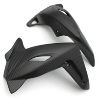 Carbon KüHlerverkleidung FüR Mv Agusta Brutale 920 / 990 / 1090 / Rr