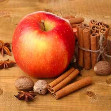 Apple Cinnamon Type Soap / Candle Fragrance Oil 1 - 16 Ounce ***Free Shipping***