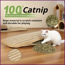 Cat Scratcher Interactive Toy with Catnip Pillow Kitten Chew Bite Scratching Pad