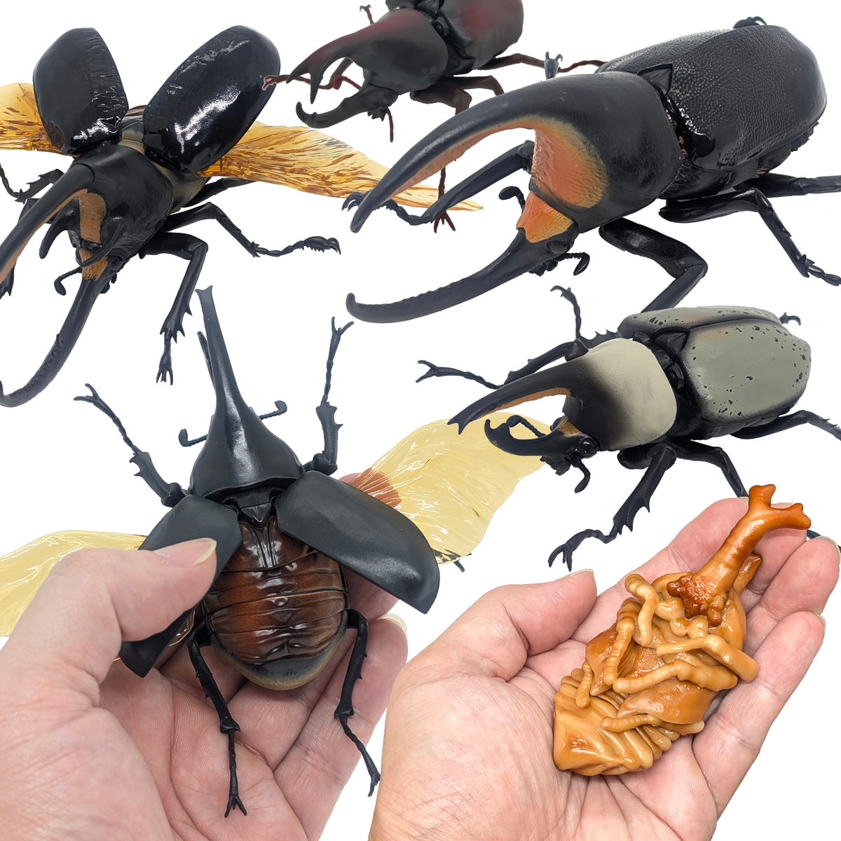 Bandai Gashapon Rhinoceros Beetle Big Realistic Insect Figure from