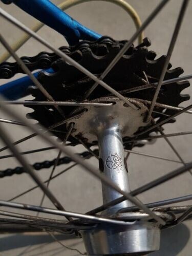 Bici da corsa moser campione del mondo campagnolo pantografata vintage - Foto 19 di 24