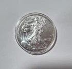 2015 $1 American Eagle 1 oz Silver Dollar Coin Walking Liberty listing #4aa
