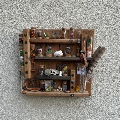 Natural Taxidermy Box - Test Tubes on Shelf. Botanical Herbarium in Glass Jar -