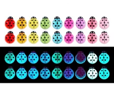 3D Mini Glow Lady Bugs Ladybug Fridge Magnets Insect Garden Mixed Lot 👻🧲 18pc