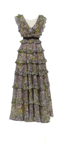 Erdem Studio Giambattista Valli ❤️ H&M Conscious Exclusive dress Size EUR36