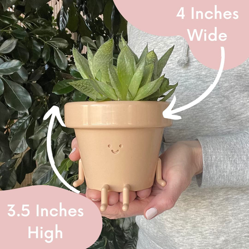 Sitting Indoor Plant Pot, Unique Cute Plastic Flower Pot with Face, 3.5 Inch Suc - Picture 4 of 8