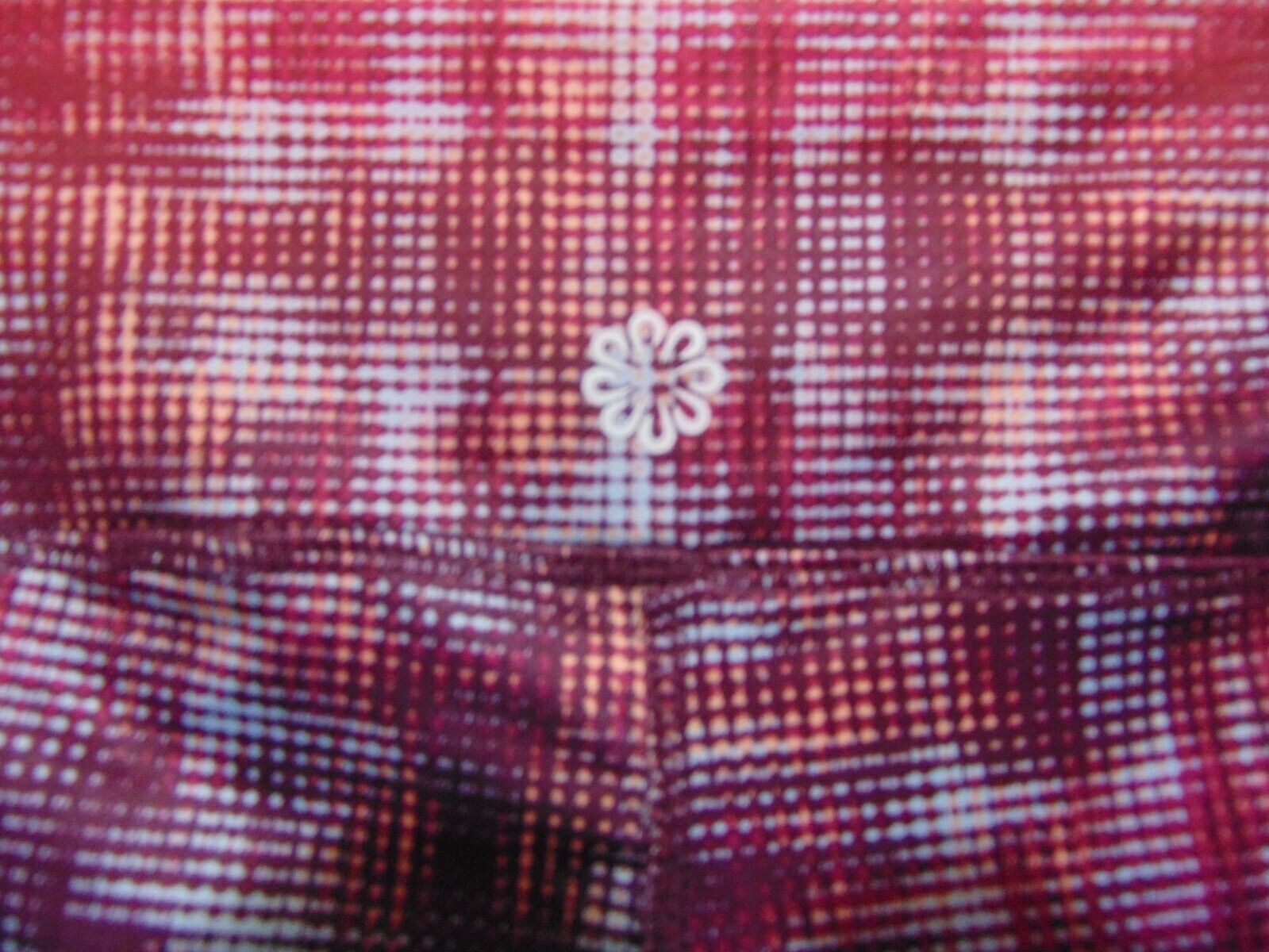 Foto 6 di 7