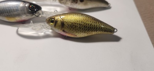 SET 4 DEEP CB CRANKBAITS (BESCHREIBUNG LESEN) - Bild 2 von 5