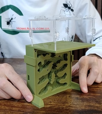Ant farm ''Hill'' Vertical formicarium Anthill, ant nest