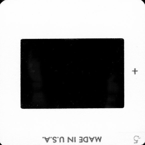 Vintage 35mm Farbfilm Dia Gruppe bei Outdoor Event Gay Int X-3694 - Bild 2 von 3