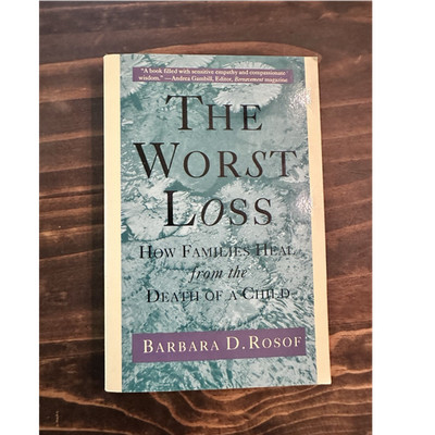 Henry Holt The Worst Loss Barbara D. Rosof Trade Paperback Revised 1995