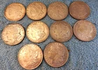 1921 Morgan  Silver Dollars Lot of 10 Coins - Most BU