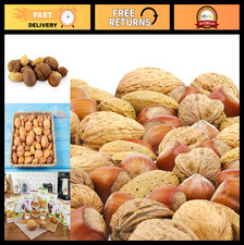 Premium Mixed Nuts in Shell - Jumbo Walnuts, Extra Large Pecans, Almonds  Hazel