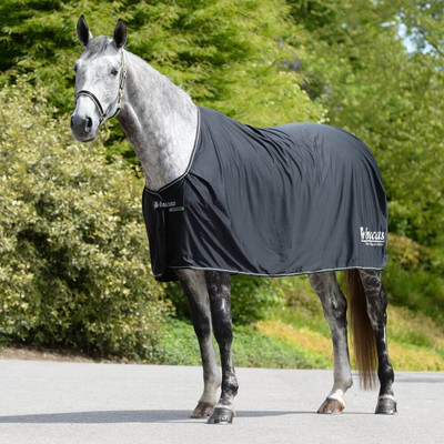 Bucas Bucas Logo Silver 125 Black Abschwitzdecke Prize Cooler