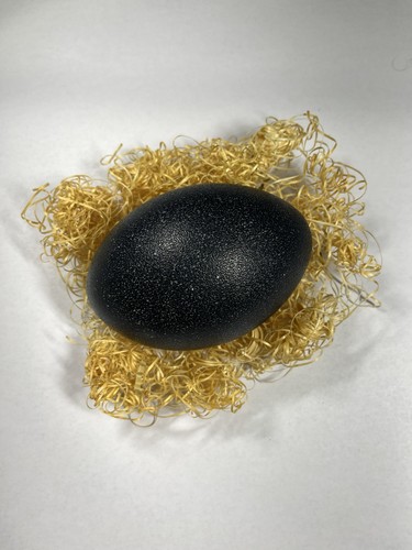 Genuine Emu Egg - Decorative Blown Out Clean Shells 2 Holes - Picture 4 of 8