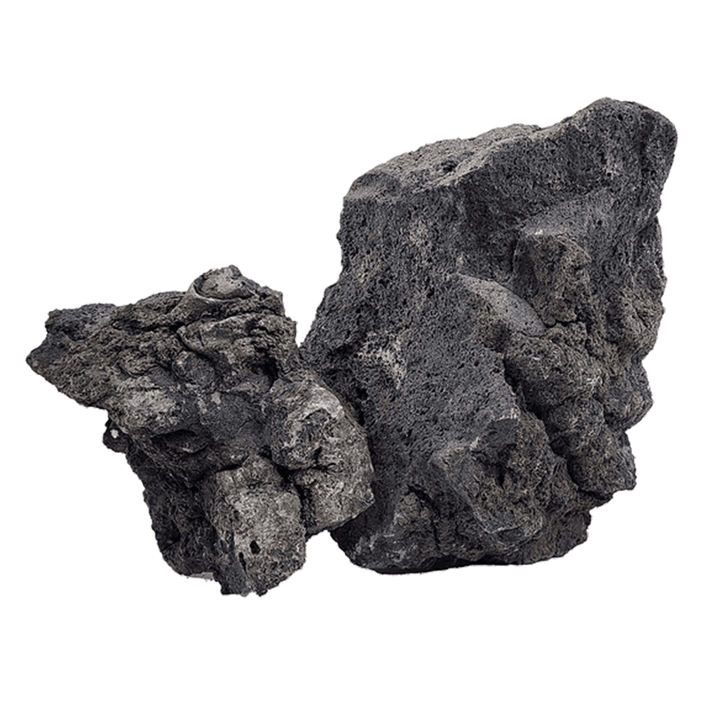 Wio Darwin Black Lava Stone Box Set Aquarium Decor 6kg