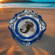 Vtg Recuerdo De Durango Mexico Preserved Real Scorpion Clear Blue Glass Ashtray